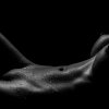In the dark