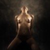 copyright www.fotofashion.no