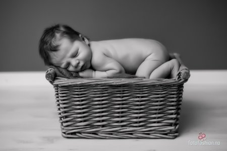 nyfødt fotografering