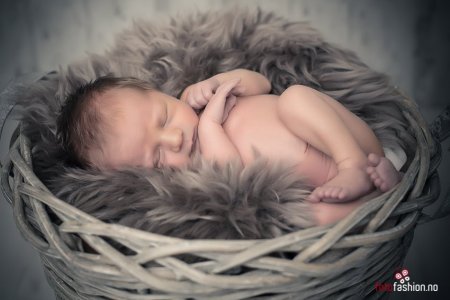 nyfødt fotografering